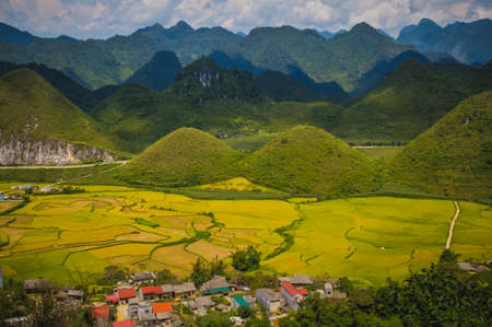 Terrace of rice on the harvest season at HaGiang province, the famous tourist destination in northwest Vietnamの写真素材