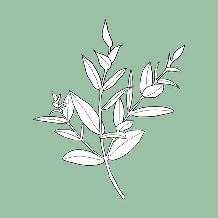 Monochrome plant on a green background. Can be used for postcards, invitations, advertising, web, textile and other.のイラスト素材