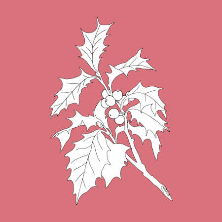 Monochrome Holly twig (Ilex aquifolium)
on a red background. Can be used for Christmas decorations, postcards, invitations, advertising, web, textile and other.のイラスト素材