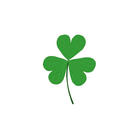 Green clover leaf isolated on white background. Hand drawn vector illustration.のイラスト素材