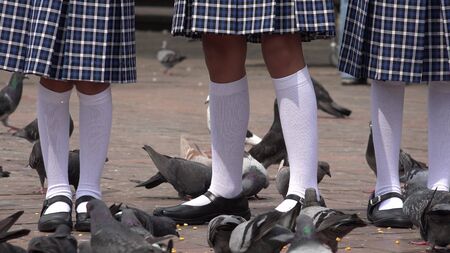 Girls Wearing White Socks And Pigeonsの写真素材