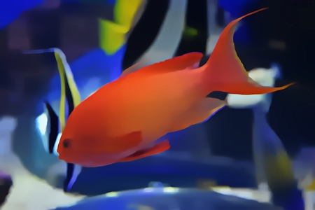 Gold Fish Swimming In Aquarium Watercolorの写真素材