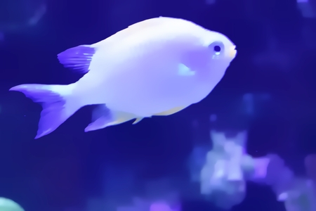 Fish Swimming In Aquarium Watercolor