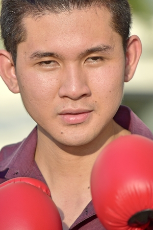 Sleepy Fit Male Athlete Wearing Boxing Glovesの写真素材