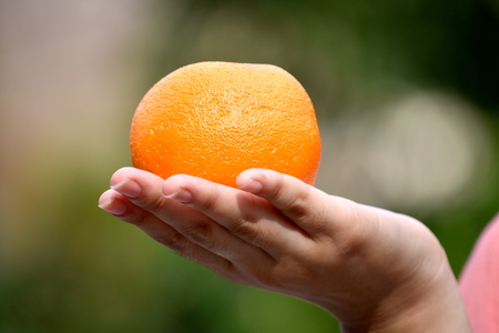 Female Hand Holding An Orangeの写真素材