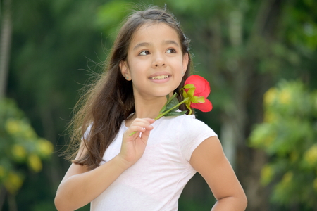 Preteen And Happiness With A Flowerの写真素材
