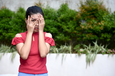 A Fearful Female Juvenileの写真素材