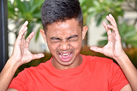 Asian Juvenile Under Stressの写真素材