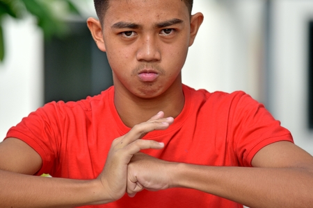 An Angry Male Juvenileの写真素材