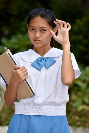 Intimidating Student Teenager School Girl With School Booksの写真素材