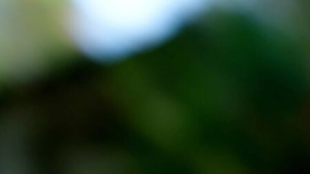 Dark With Bright Spot Blurred Abstract Background