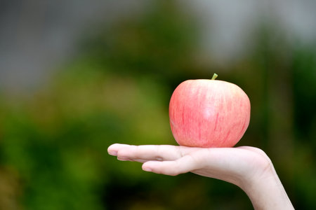 A Hand Holding An Appleの写真素材