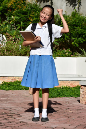 Successful Pretty Asian Female Student Wearing Skirt With Textbooks Standingの写真素材