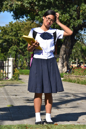 Confused Pretty Asian Person Wearing Skirt With Books Standingの写真素材