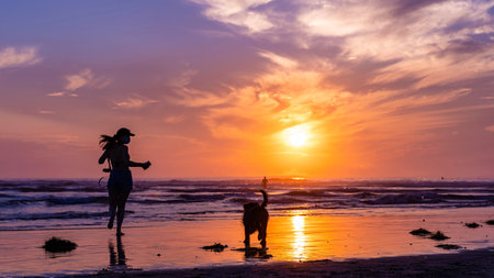 Happy Dog at the beach with owner during sunsetの写真素材
