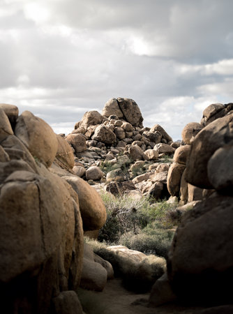 some rocky boulders at Joshua tree national park
