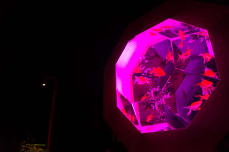 KYOTO, JAPAN - NOV 12: \"Art Aquarium Castle - Kyoto goldfish of dance -\" was held on October 24 to December 14, 2014 at Nijo Castle of the world heritage. Exhibition name New Edo Kingyo Display.のeditorial素材