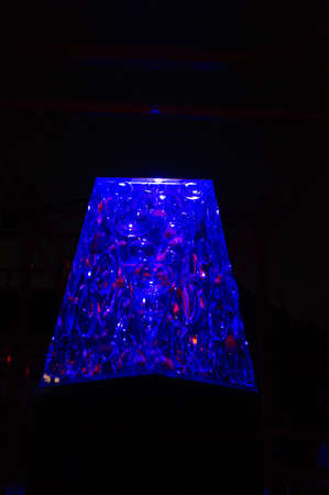 KYOTO, JAPAN - NOV 12: \Art Aquarium Castle - Kyoto goldfish of dance -\ was held on October 24 to...