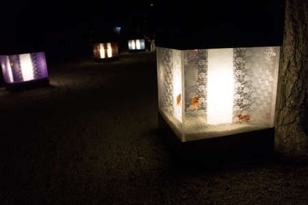 KYOTO, JAPAN - NOV 12:\Art Aquarium Castle - Kyoto goldfish of dance - \ was held on October 24 to...
