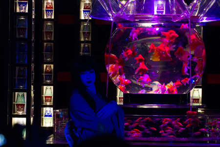 KYOTO, JAPAN - NOV 12:\"Art Aquarium Castle - Kyoto goldfish of dance - \\\\\\\\\\\\\\\" was held on October 24 to December 14, 2014 at Nijo Castle of the world heritage Exhibition name \"dance of Solar term 72 climate\".のeditorial素材