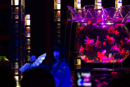 KYOTO, JAPAN - NOV 12:\"Art Aquarium Castle - Kyoto goldfish of dance - \\\\\\\\\\\\\\\" was held on October 24 to December 14, 2014 at Nijo Castle of the world heritage Exhibition name \"dance of Solar term 72 climate\".のeditorial素材