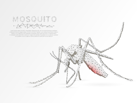 Origami Mosquito that sucks blood, Polygonal space low poly with connecting dots and lines. Malaria concept. Connection wireframe structure. Vector on white backgroundの写真素材