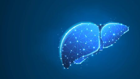 Liver, Human organ. Adult body anatomy, health biology, internal world of people. Low poly, wireframe 3d vector illustration. Abstract polygonal image on blue neon backgroundのイラスト素材