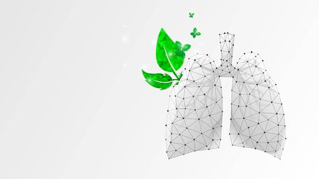 Healthy Lungs, human organ with green leaves and butterfly. Adult body anatomy, health biology. Low poly, wireframe 3d vector illustration. Abstract polygonal image on white origami backgroundのイラスト素材