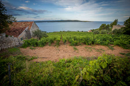 view of top on the islandの写真素材