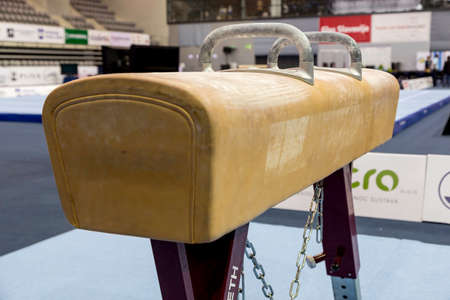 prepares trainees on pommel horse