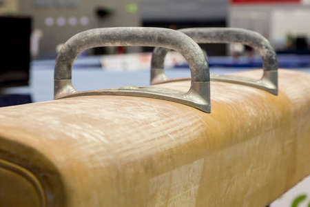 prepares trainees on pommel horseの写真素材