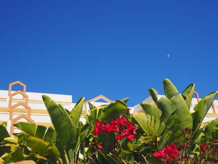 Tropical landscapeの写真素材