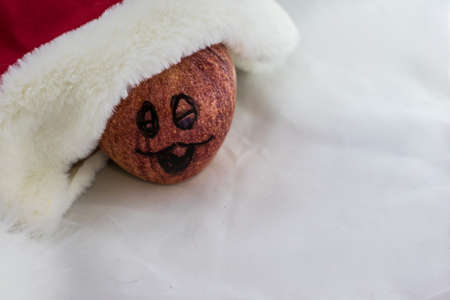 Christmas appleの写真素材