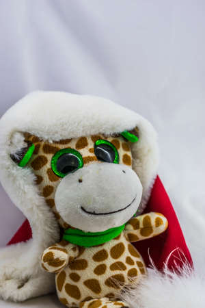 Chritmas giraffeの写真素材