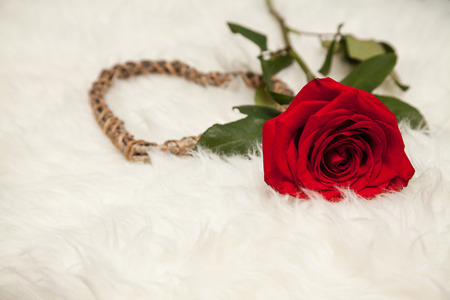 Congratulation on Valentines day, beautiful red rose on white wool background with wooden heart shape, free space for text.の写真素材