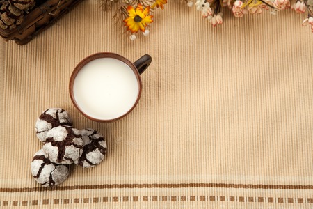 Homemade organic cookies with cocoa and chocolate, favorit grandmother's biscuit with cup of milk. Free space for text.の写真素材