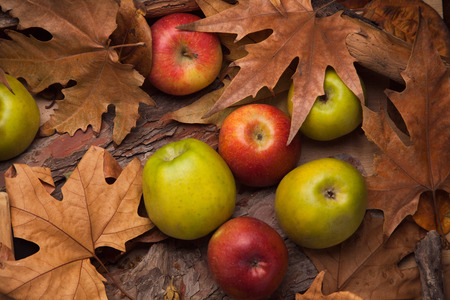 Empty blackboard in yellow leaves with apples, free space to write down diet.