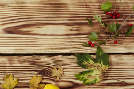 Autumn leaves on wooden background with copy space. Top view. Free space for text.