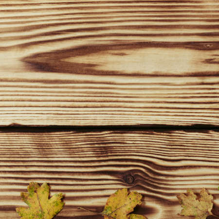 Autumn maple leaves on wooden backgroundの写真素材