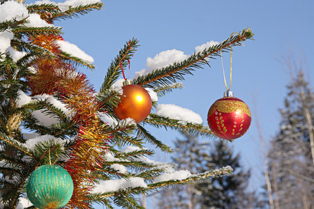 Outdoor Christmas decorations on fir