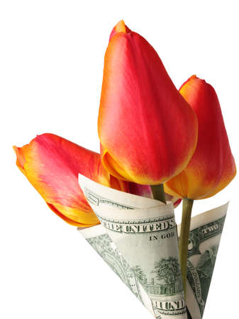 Dollars as a leafage of tulipsの写真素材