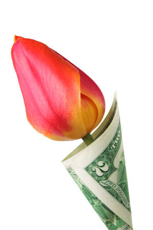 Two dollars as a leaf of tulipの写真素材