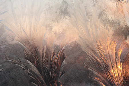 Frostwork. Sunriseの写真素材
