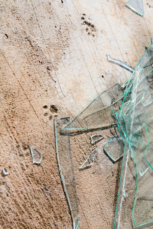 The beaten glass on the concrete basis with the printed animal traces