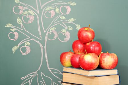 Tree of knowledge education conceptの写真素材