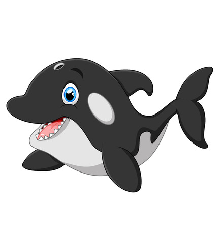 Cute killer whale cartoonのイラスト素材
