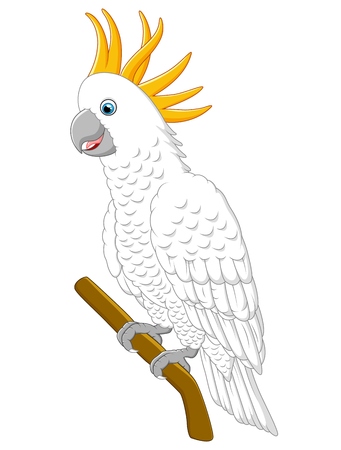 White parrot sitting on a branch Isolated on white backgroundのイラスト素材