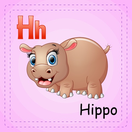 Animals alphabet: H is for Hippoのイラスト素材