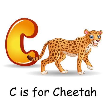 Animals alphabet: C is for Cheetahのイラスト素材