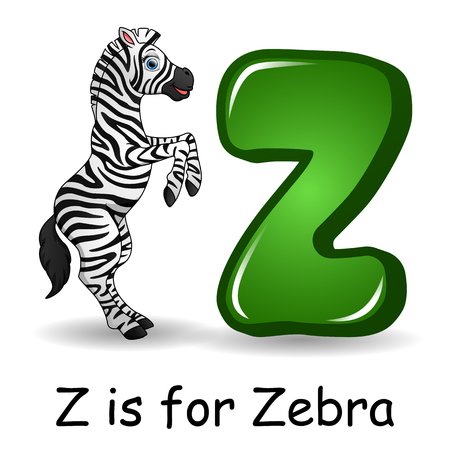 Animals alphabet: Z is for Zebraのイラスト素材